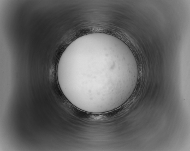 X0000100330557200806051206
