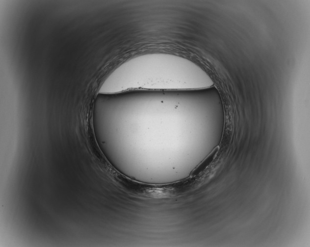 X0000100330558200806051206