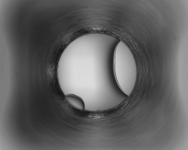 X0000100330559200806051206