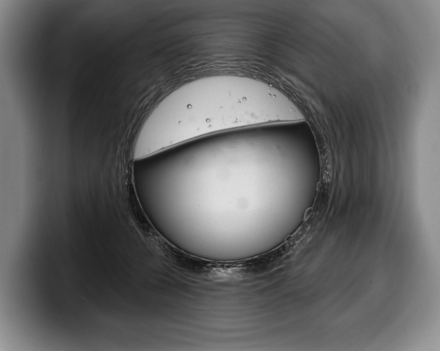 X0000100330560200806051206
