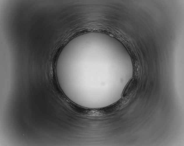 X0000100330562200806051206