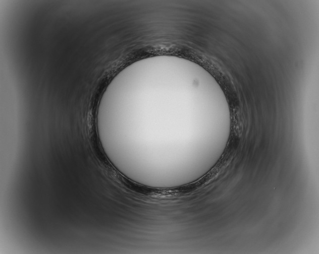 X0000100330563200806051206