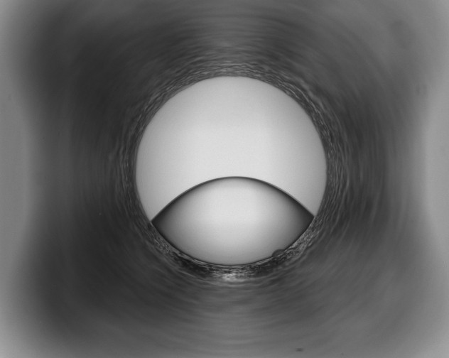 X0000100330564200806051206