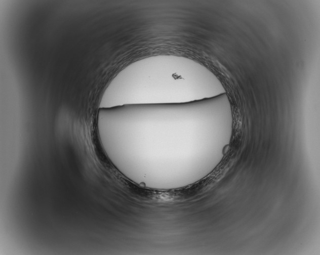 X0000100330565200806051206