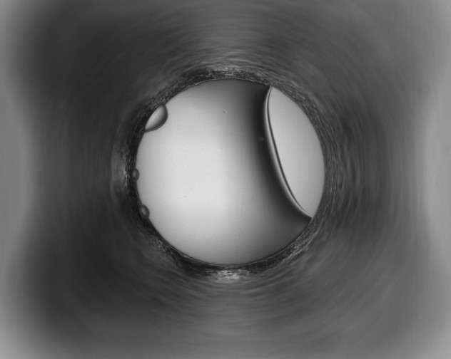 X0000100330566200806051206