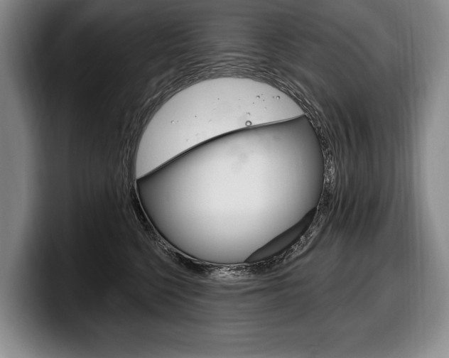 X0000100330568200806051206