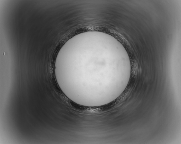 X0000100330569200806051206