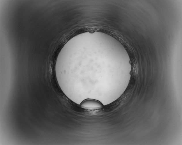 X0000100330570200806051206
