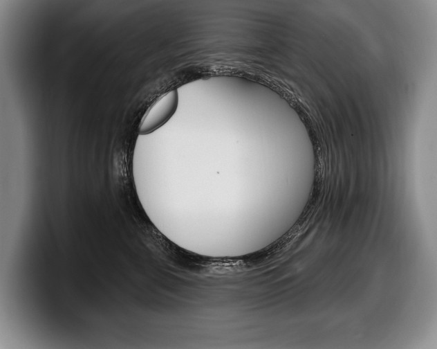 X0000100330571200806051206