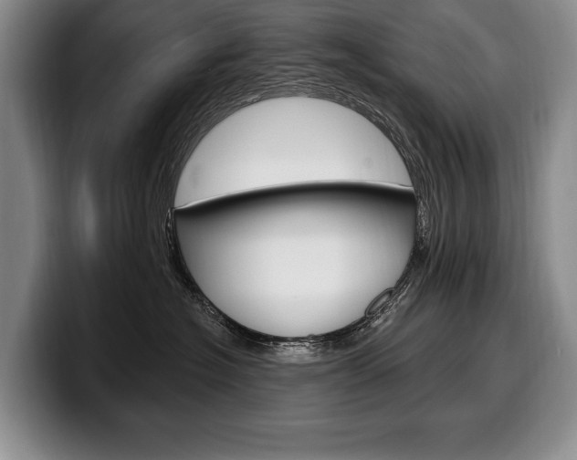 X0000100330574200806051206