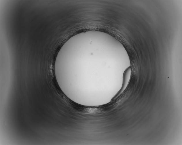 X0000100330575200806051206
