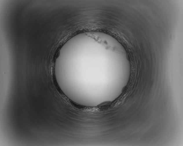 X0000100330576200806051206