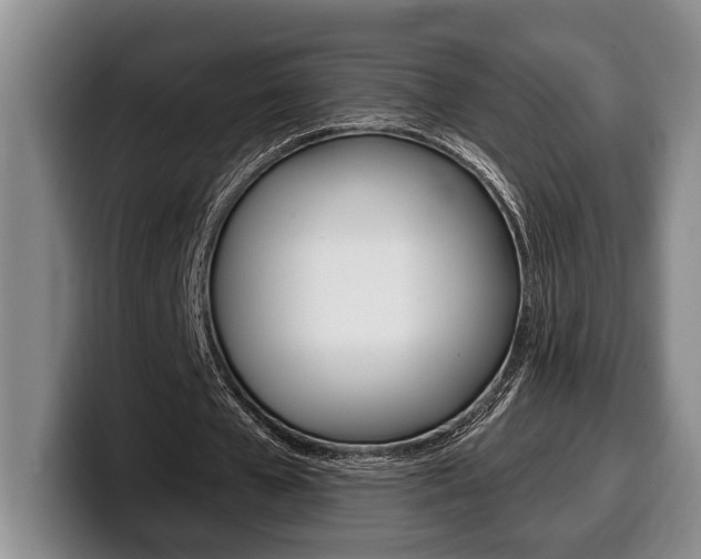 X0000100330577200806051205