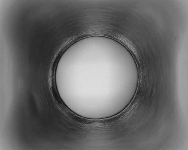 X0000100330578200806051205