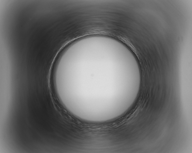 X0000100330579200806051205