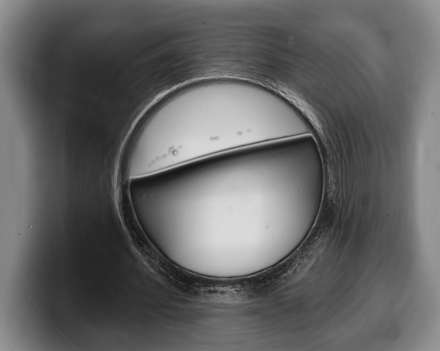X0000100330580200806051205