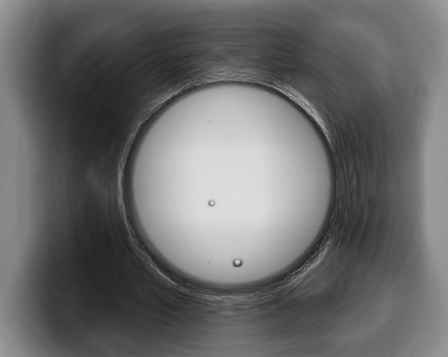 X0000100330581200806051205