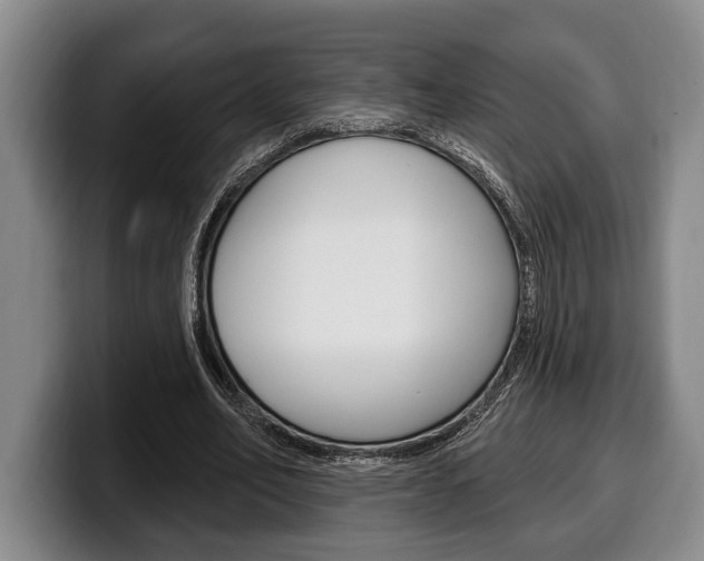 X0000100330582200806051205