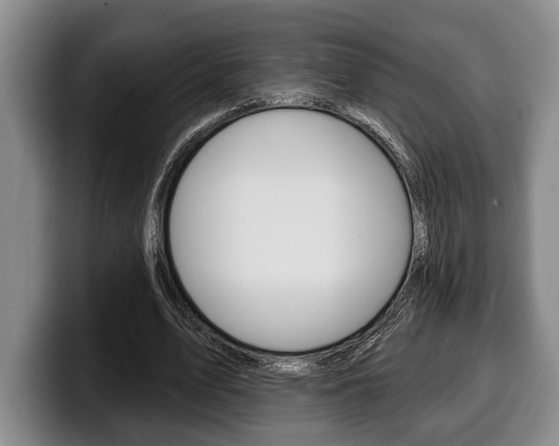 X0000100330583200806051205