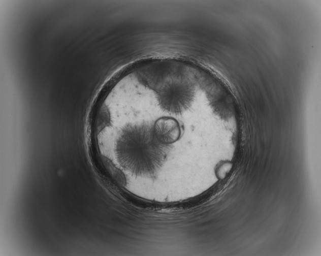 X0000100330584200806051205