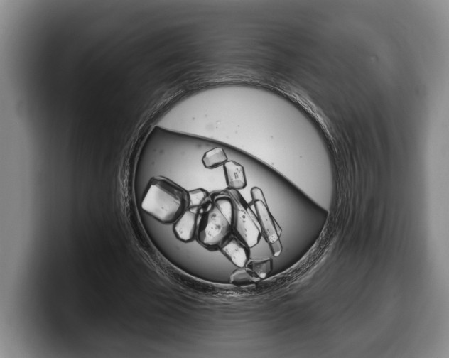 X0000100330585200806051205