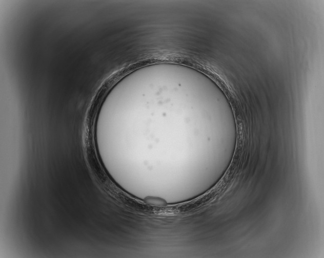 X0000100330587200806051205