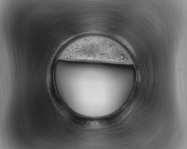X0000100330588200806051205