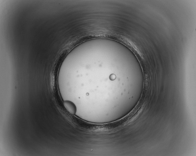 X0000100330589200806051205