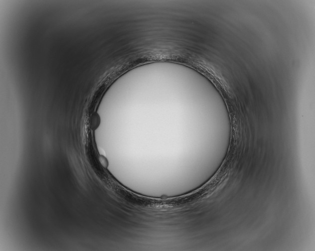 X0000100330590200806051205