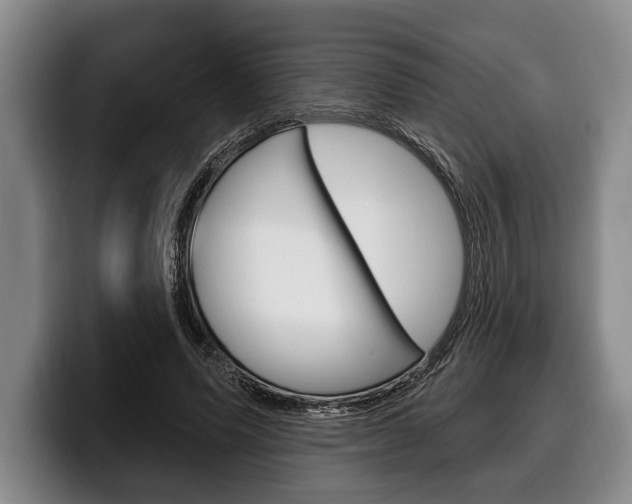 X0000100330591200806051205