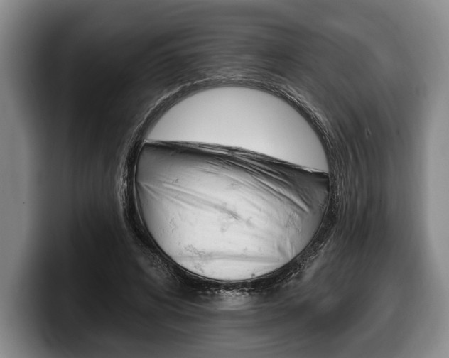 X0000100330592200806051205