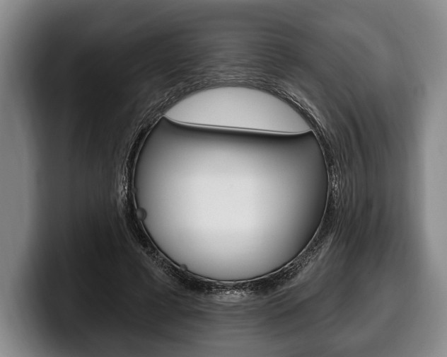 X0000100330593200806051205