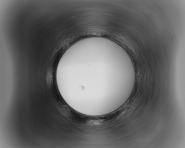 X0000100330595200806051205