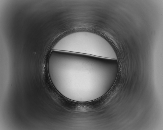 X0000100330596200806051205