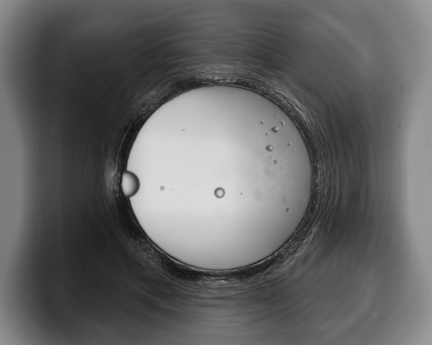 X0000100330597200806051205