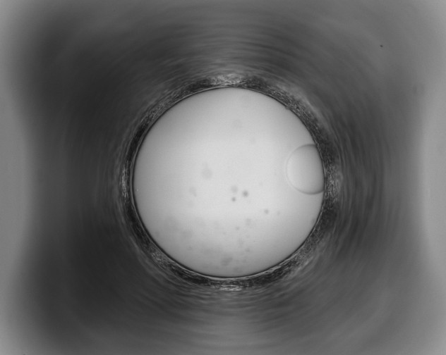 X0000100330598200806051205