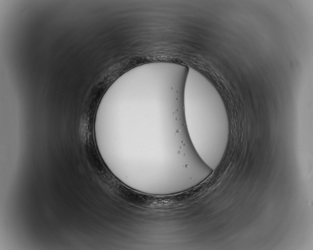 X0000100330599200806051205