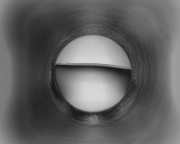 X0000100330600200806051205