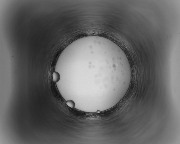 X0000100330601200806051205