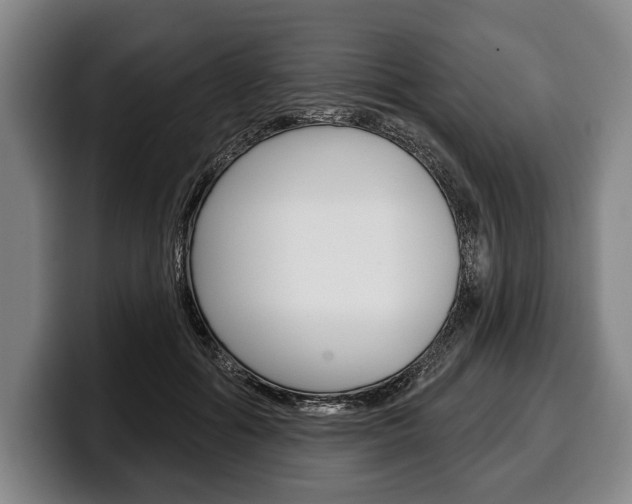 X0000100330602200806051205