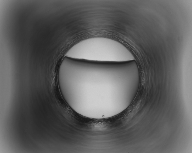 X0000100330604200806051205