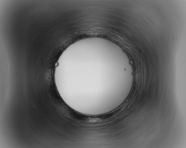 X0000100330605200806051205