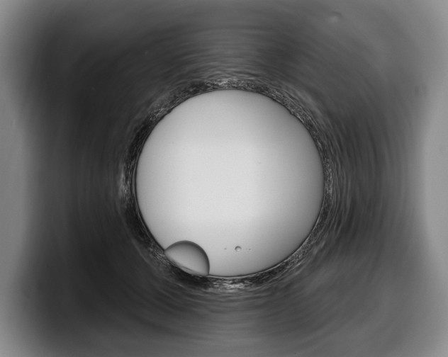 X0000100330607200806051205