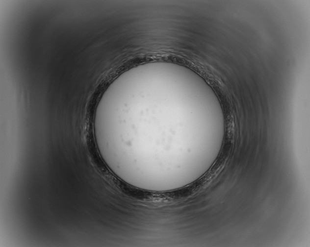 X0000100330608200806051205