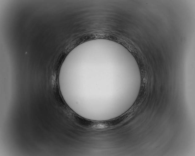 X0000100330610200806051205