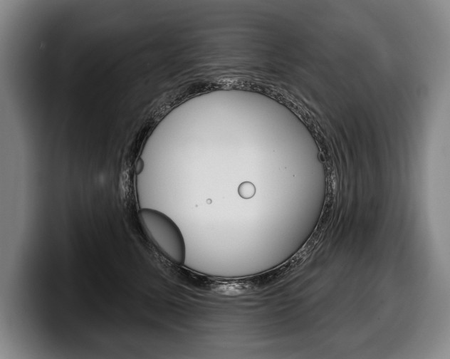 X0000100330611200806051205