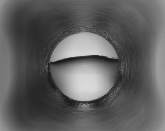 X0000100330613200806051205