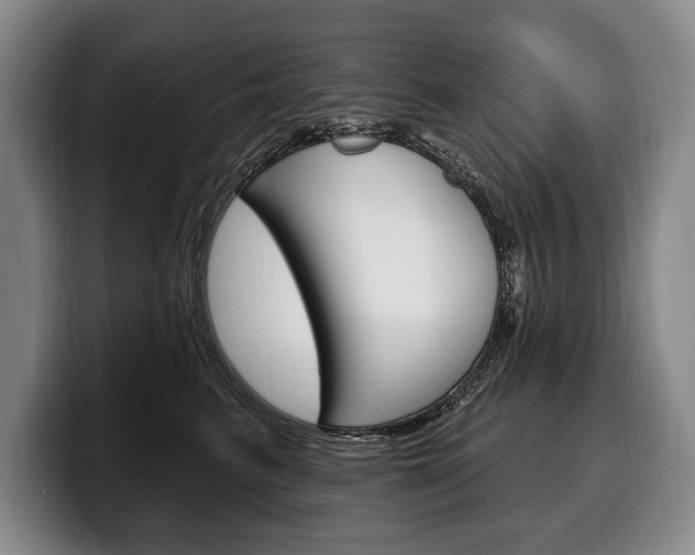 X0000100330615200806051205