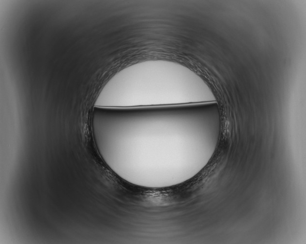 X0000100330616200806051205
