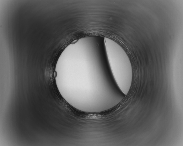 X0000100330617200806051205